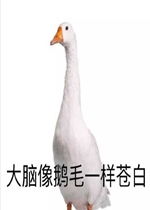 请你吃狗粮表情包好玩吗请你吃狗粮表情包怎么玩用户评论