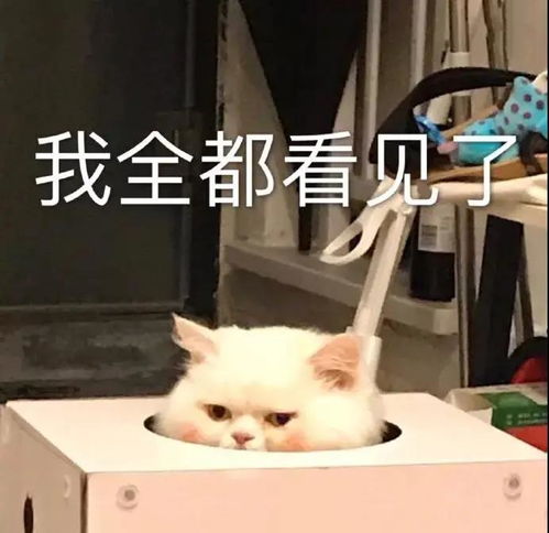 幽默搞笑表情包我只有你这一个宝贝了