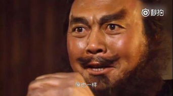 俺也一样是什么梗俺也一样意思介绍游戏吧