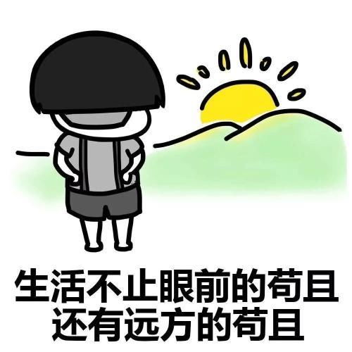 2019个人总结表情包代表我的心