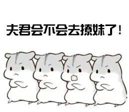 仓鼠表情包