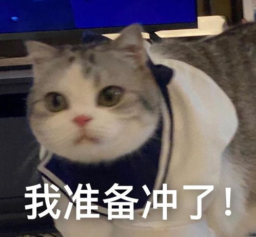 王者荣耀辅助跟手为什么因为他需要你