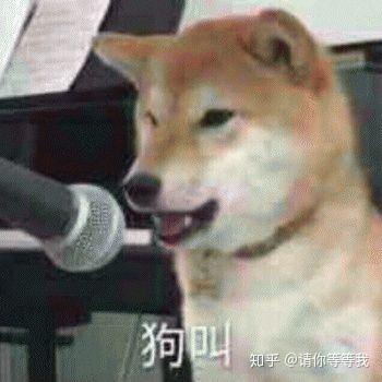 有什么可以对抗这个表情包,求绝配