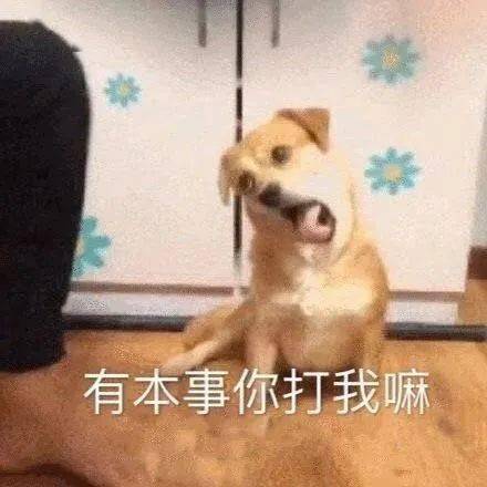 沙雕斗图表情包有本事你打我嘛