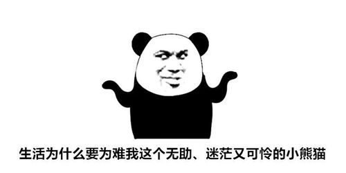不知道表情包文字