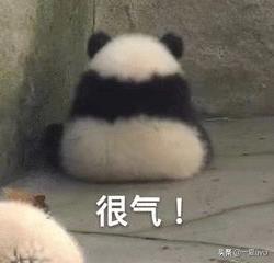 这是一部真正的好剧,如果我早点看到,可能人生会略有不同吧