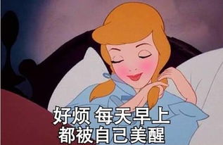 太经典了佛山网红与佛山美女的区别一定要看看