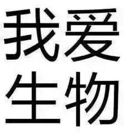 星火映画的专栏文章