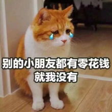 江中街访在江中,月底了你的生活费还够吗