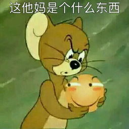杰瑞鼠表情包他急了