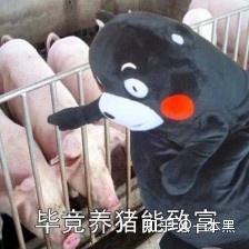 某些sb自媒体账号,别再接金融诈骗广告害人了行吗