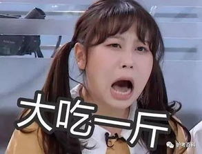 一条小团团表情包大全李姐