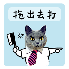 二货总裁猫微信表情