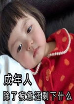 仙女花呗