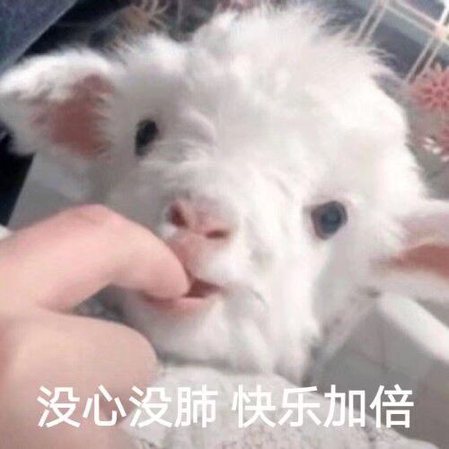 发沙雕表情包的人是否内心也有沙雕的欲望,并且认为沙雕其实很开心