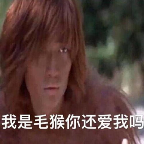 朱一龙表情包高清毛猴