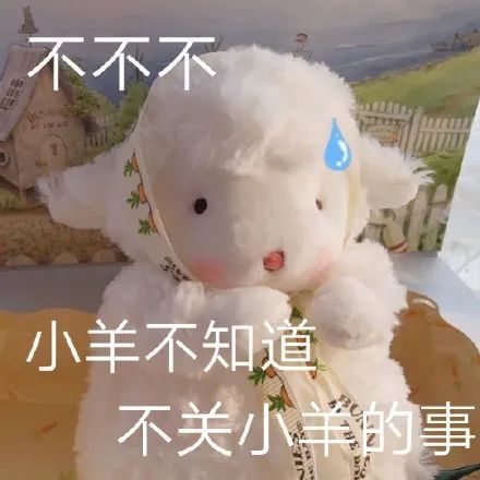 微信聊天可爱表情包宝,多喝热水