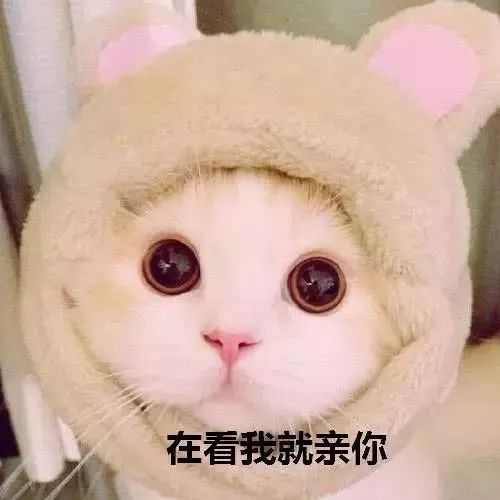 全网最大尺度情侣表情包,男票看完疯狂害羞心跳