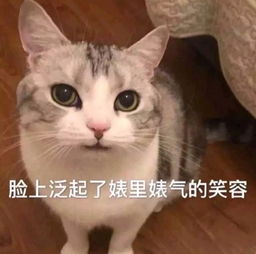爱好小奶狗,和已婚男藕断丝连,不知名大v纪懵懵当婊还想立牌坊
