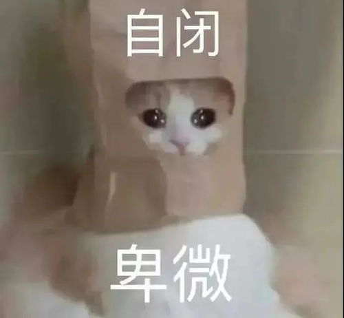 热门表情包大合集丨笑到打嗝