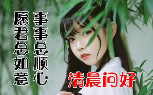 12月5日最漂亮早上好动态表情图片大全,早晨好动图美图大全