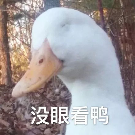 加油鸭要努力成为一只优秀的烤鸭