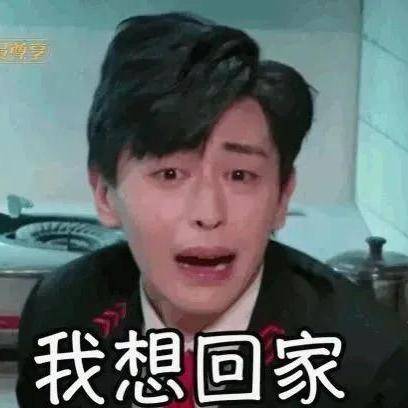 你们一定会爱的表情包邓伦秦霄贤金雪