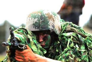士兵表情包2011年