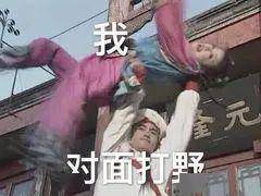 王者荣耀求野王带的表情包