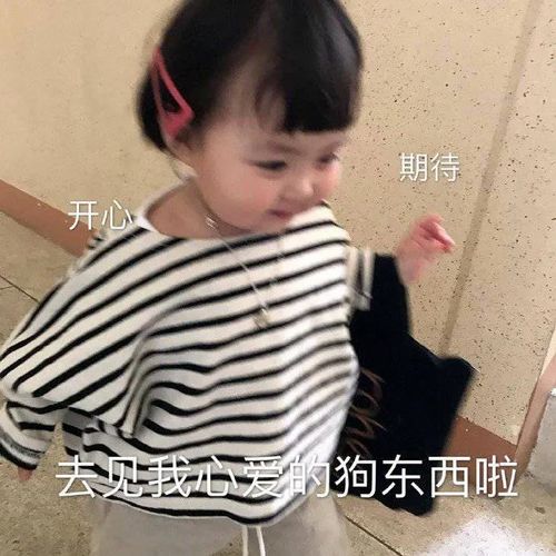 表情包,搞笑表情包