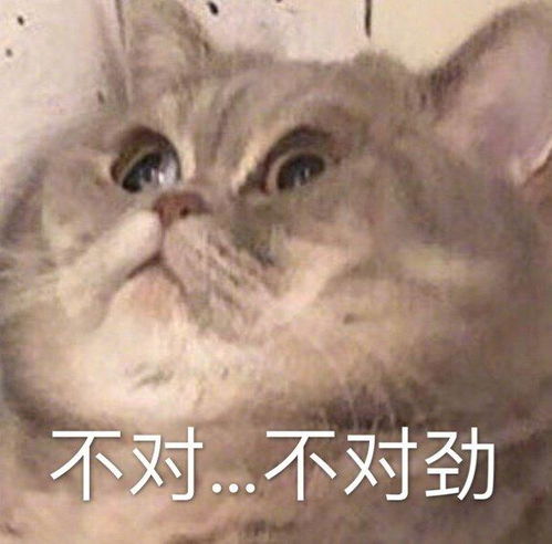 手机里那些最宝贝的表情包,速来收图