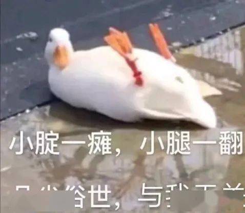寒假来了丨几点了,还不起床