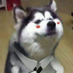 梦妆包装盒