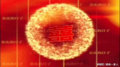 祝鬼龙博兰令郎新婚快乐