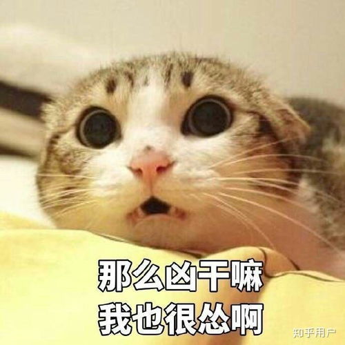 你能接受你的男朋友身高165吗