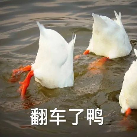 孩子那么丑还晒朋友圈晒娃竟被喷