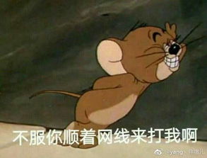男默女泪老王的故事
