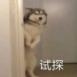 隆记粤菜小馆没什么本事,就是把家常菜做到极致