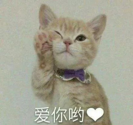 9.6分bbc神作吸猫伐