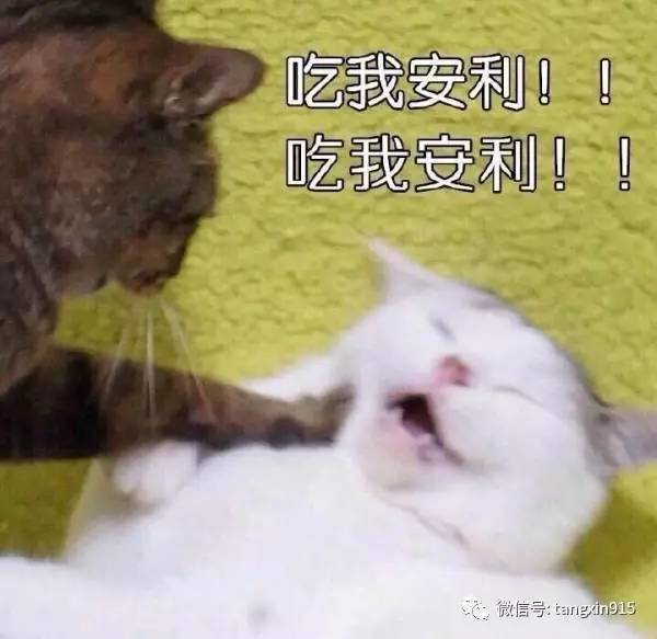 你有上百支唇膏,可颜值终究还是看脸啊