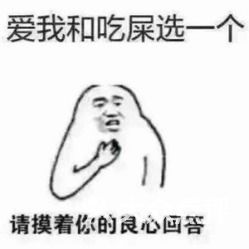 爱死你了表情包可保存表白