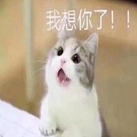 情侣斗图表情包微信头像图片大全