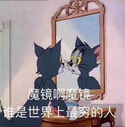 猫和老鼠套图头像壁纸表情包背景图