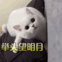 我去吃鸡了,王者峡谷就交给你们了妈蛋表情网