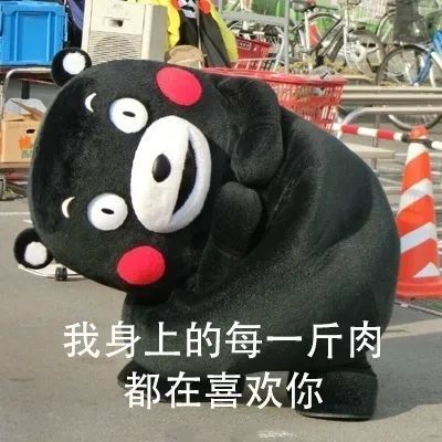 表情包我很会养猪你愿意和我在一起吗