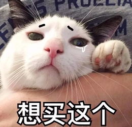 当你逛商城想买衣服时,好魔性的一组表情包