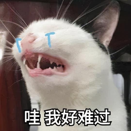 迁安这个小区建成多年,为啥办不了房产证官方回复来了