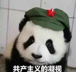 二次元女生蹦迪表情包熊猫