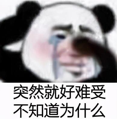 熊猫头沙雕表情包可以帮我买包盐吗我觉得我们的感情变淡了