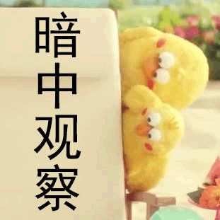 鹦鹉兄弟为什么会火动图百科